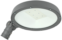 Светильник LED консольный IEK ДКУ Парк 2001-100Д, 100 Вт, 230 В, 5000 К, IP65