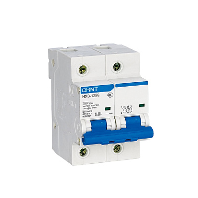 Автоматический выключатель NXB-125 2P 80A 10кА C CHINT
