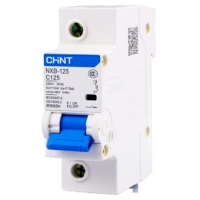 Автоматический выключатель NXB-125 1P 100A 10кА C CHINT