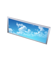 Светильник LED панельный LEDAR ДВО ОБЛАКО, 60 Вт, 6500 K, 1200х300 мм, встраиваемый