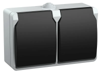 Розетка 2-местная IEK  FORS РСб22-3-ФСр, 16 А, 250 В, с заземлением, накладная, IP54