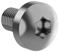 Винт IEK FORMAT М6х10, TORX30, DIN7500C, 500 шт/упаковка