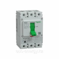 Автоматический выключатель Schneider GoPacT G200F, 3Р, 125 А, 36 кА, регулируемый