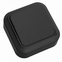 Выключатель 1-клавишный Bylectrica ПРАЛЕСКА А16-131, накладной, черный, IP20