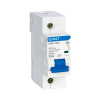 Автоматический выключатель CHINT NXB-125, 1P, 100 A, 10 кА, D