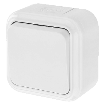 Выключатель 1-клавишный ПРАЛЕСКА АКВА А16-222 10А 250V накладной белый IP54 Bylectrica