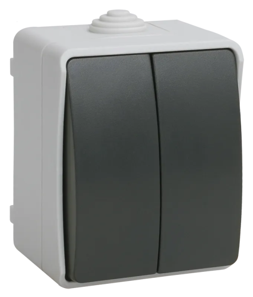 Выключатель 2-клавишный IEK FORS ВС20-2-0-ФСр, накладной, серый, IP54
